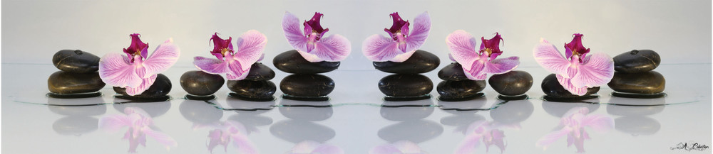 SP 035 - Орхидеи#Цветы#Камни#