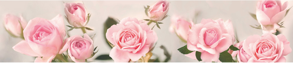 ТОР 56 - Розовые розы#Цветы