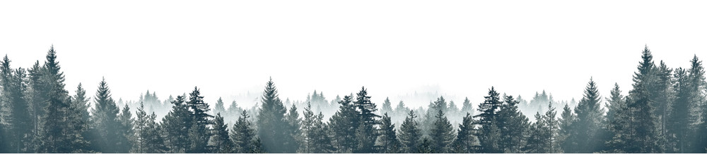 КМ 470 - Лес#Туман#Природа